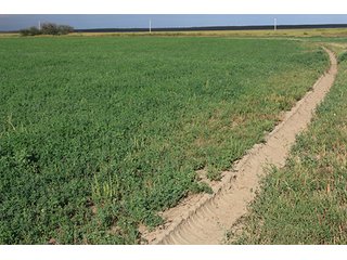 Property photo 47 - LAND AUCTION, 3255+/- Acres offered in 13 Tracts